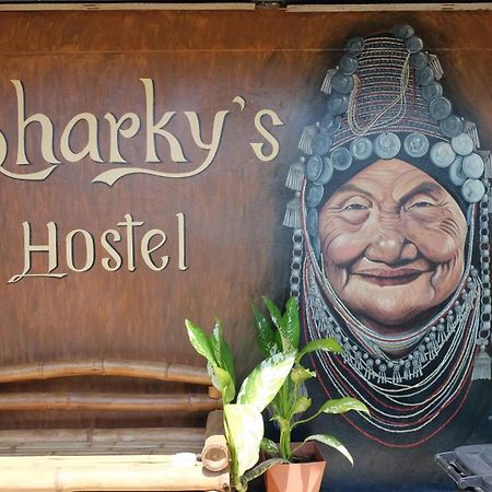Sharky'S Hostel باي المظهر الخارجي الصورة
