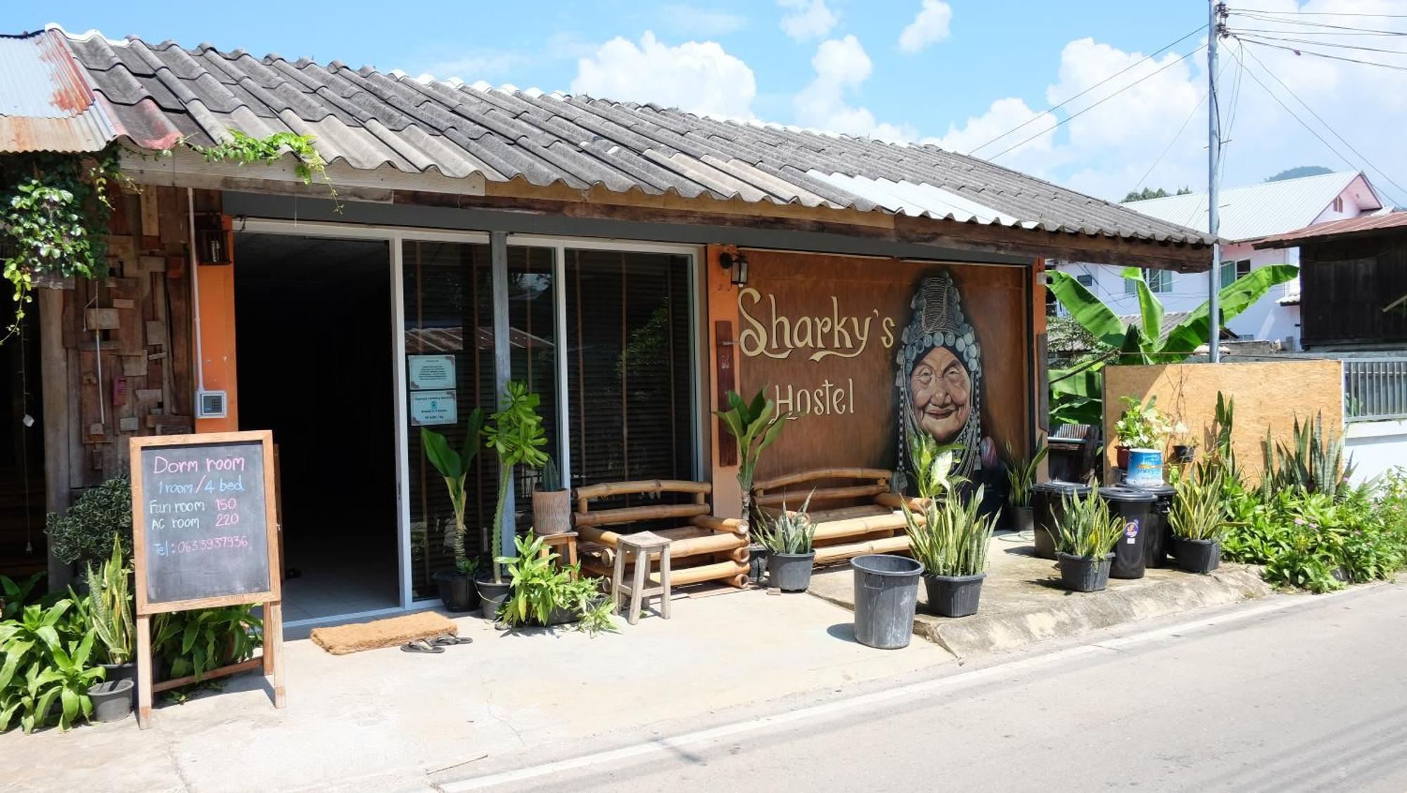 Sharky'S Hostel باي المظهر الخارجي الصورة